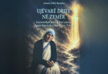 FRYMËZIMI I PËRFLAKJES POETIKE SI PRUSH I BUKURISË